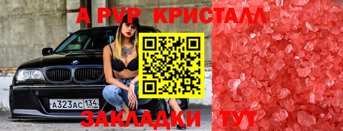A PVP СК  Вход с VPN  Альфа ПВП  Новодвинск 