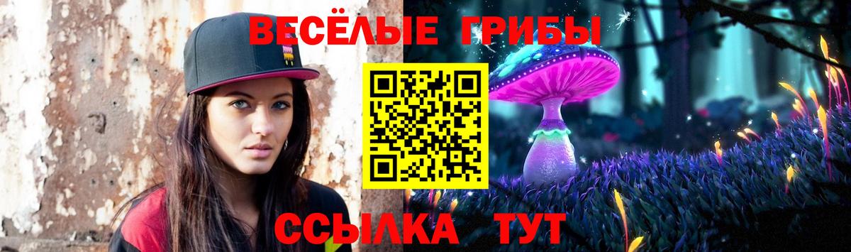 сколько стоит  Вход с VPN  Новодвинск  Псилоцибиновые грибы мухоморы  Псилоцибиновые грибы Magic Shrooms 